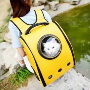 Dambul Shop Интернет Магазин Умной Техники Dambul Shop Интернет Магазин Умной Техники